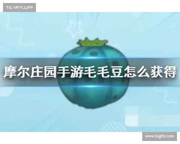 摩尔庄园毛毛豆收集全攻略及高效技巧分享