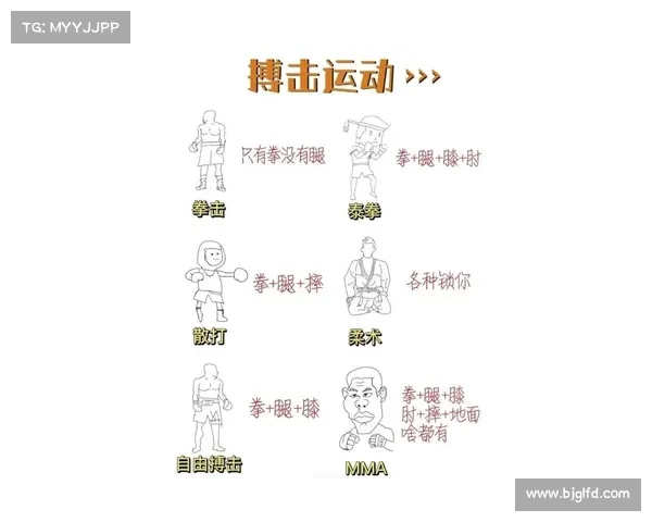 拳击赛事全景解析精彩内容与赛制深度剖析