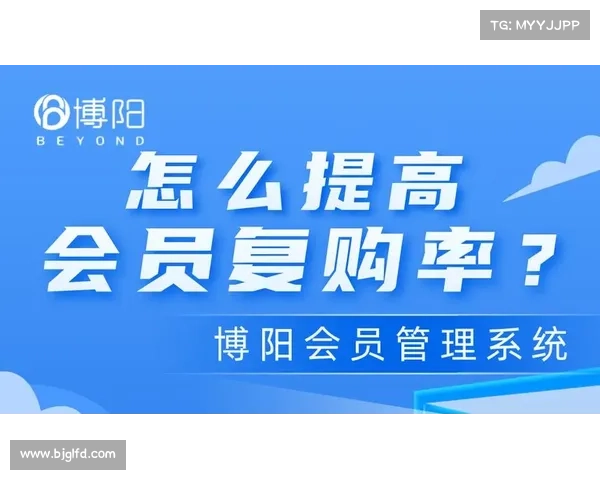 提升足球粉丝互动体验与品牌忠诚度的创新策略与实践探讨